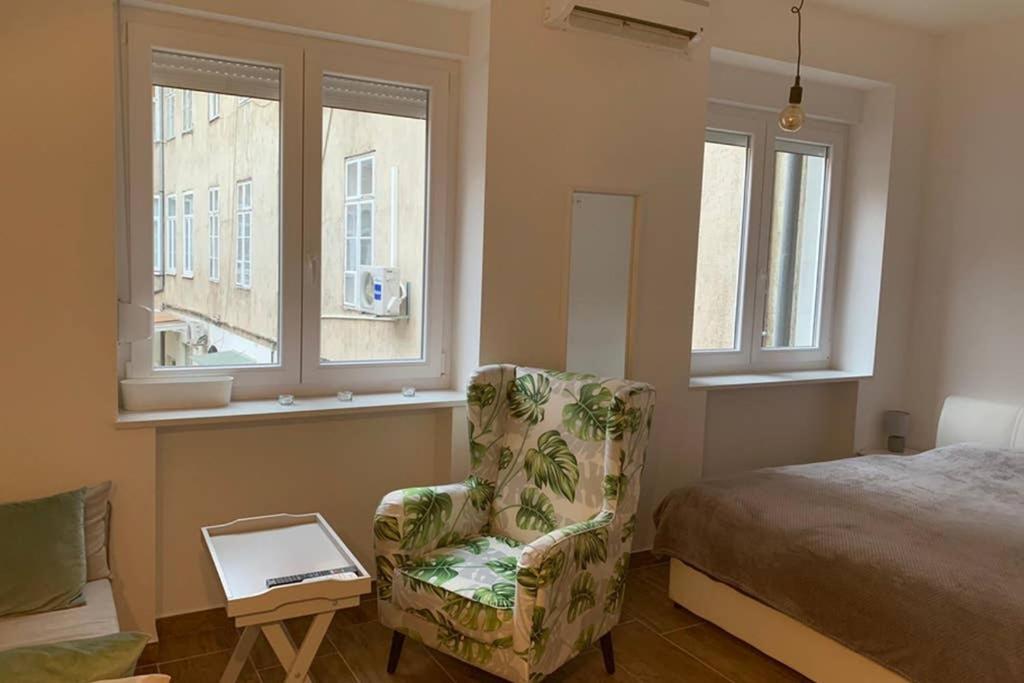 Studio Apartment In Center Of Zagreb "Vidra" Eksteriør billede